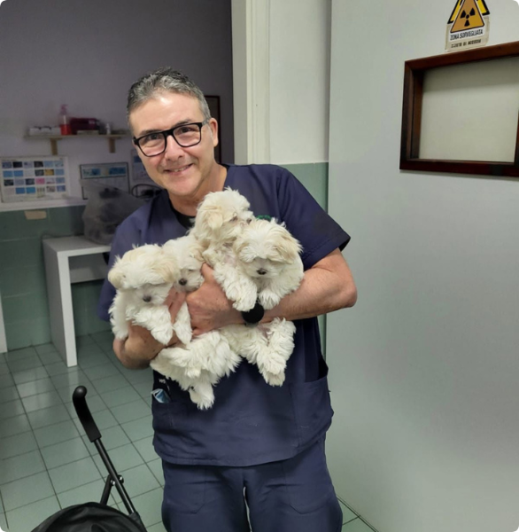 Dott. Maccauro con dei cuccioli Dott. Maccauro con dei cuccioli pronti per l'adozione dopo essere stati visitati