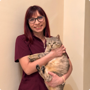 Dott.ssa Annalisa Senatore Dott.ssa Annalisa Senatore, Medicina comportamentale