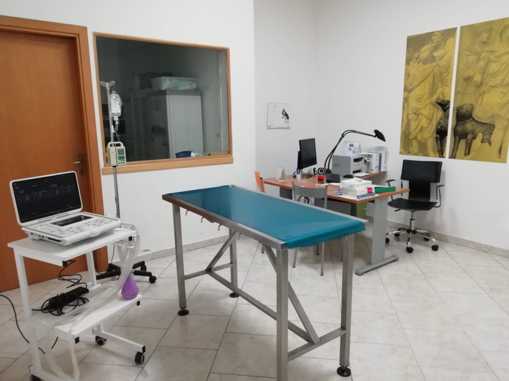 Sala d'attesa Centro Veterinario Maccauro a Benevento