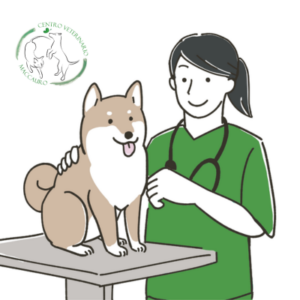 Veterinaria Avatar Medico Veterinario