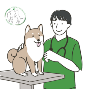 Veterinario Avatar Medico Veterinario