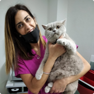 Dott.ssa Valeria Bavasso Dott.ssa Valeria Bavasso, medico veterinario, Medicina interna, anestesiologia e terapia del dolore e fisiopatologia della riproduzione